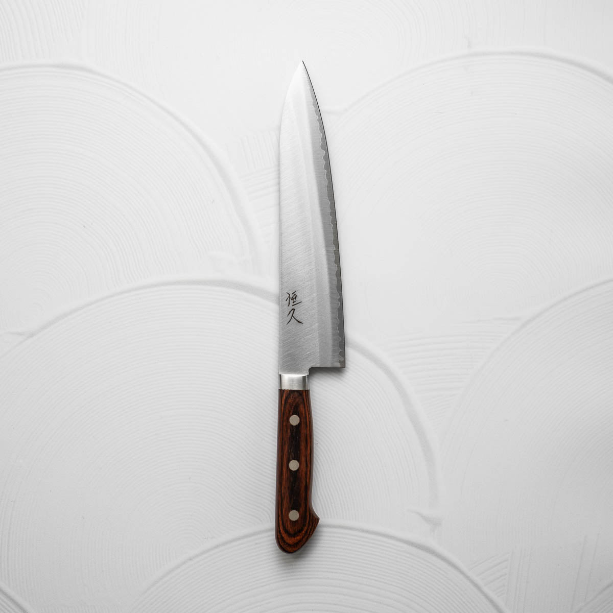 Tsunehisa VG1 Gyuto 210mm