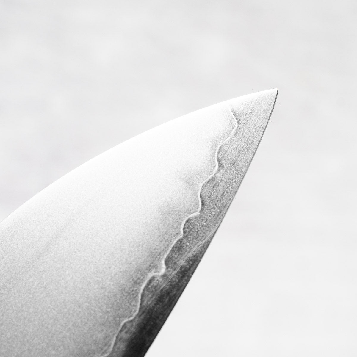 Hajimaru Chromax Gyuto 210mm - Mono Bubinga