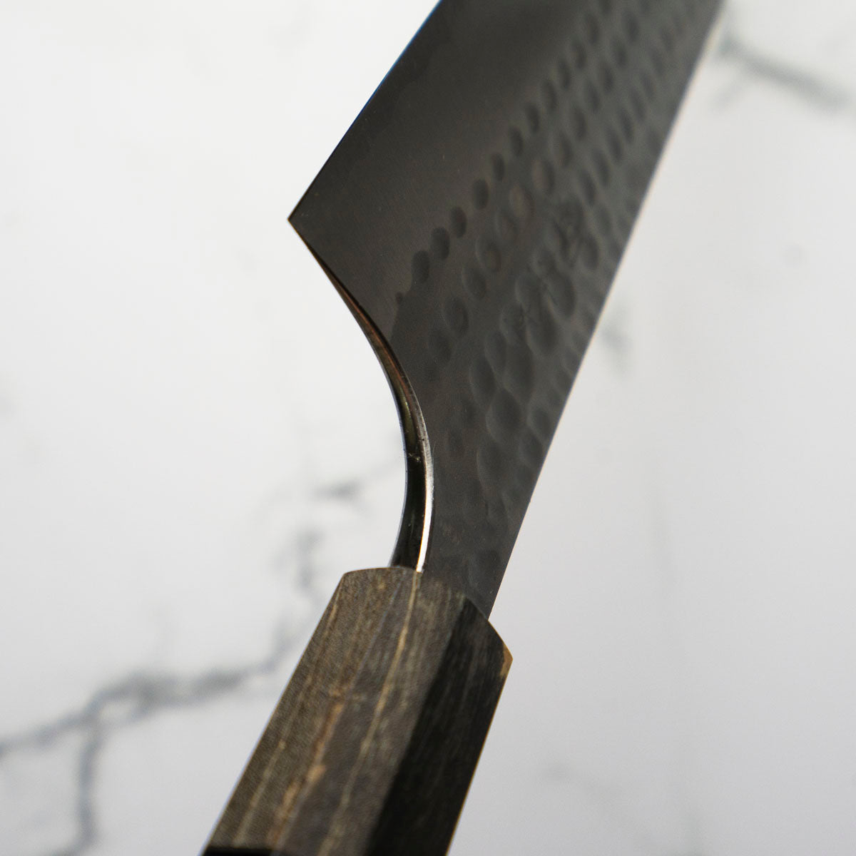 Katsushige Anryu Blue Super Gyuto 210mm