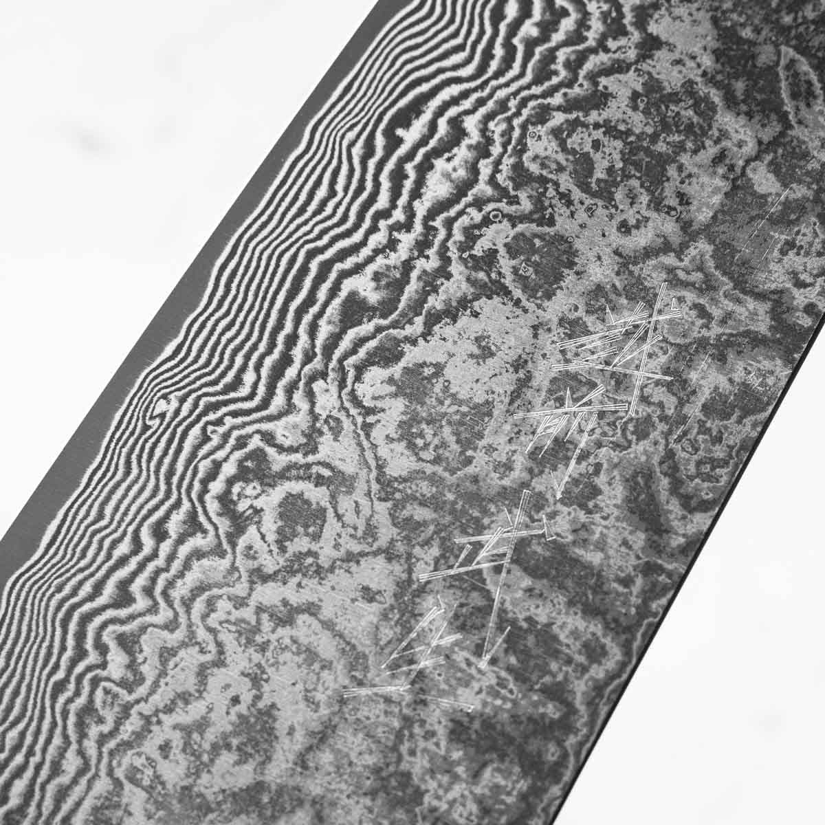 Shiro Kamo SG2 Black Damascus Gyuto 240mm