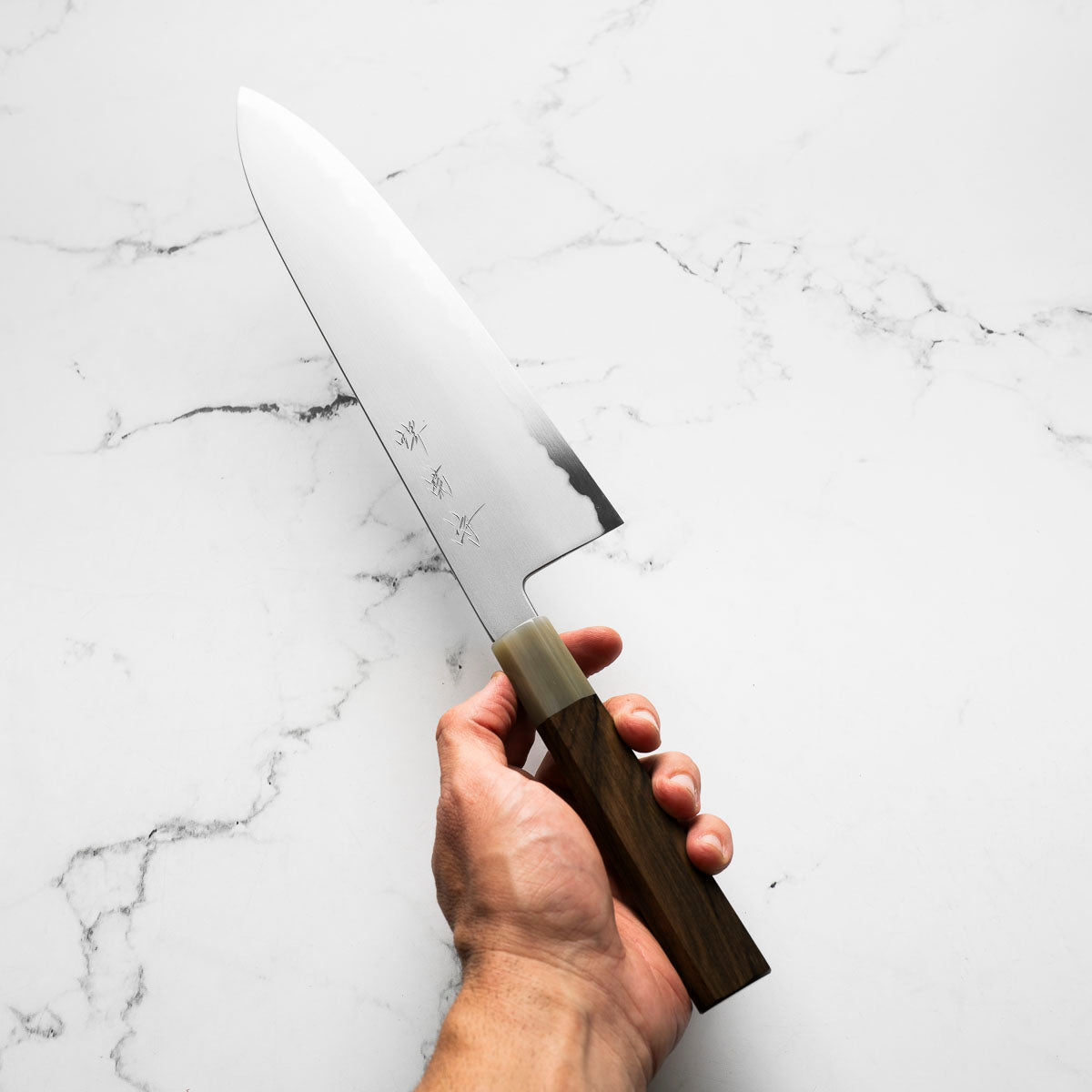 Y.Tanaka x Sakai Kikumori Blue 2 Gyuto 255mm - Persimmon