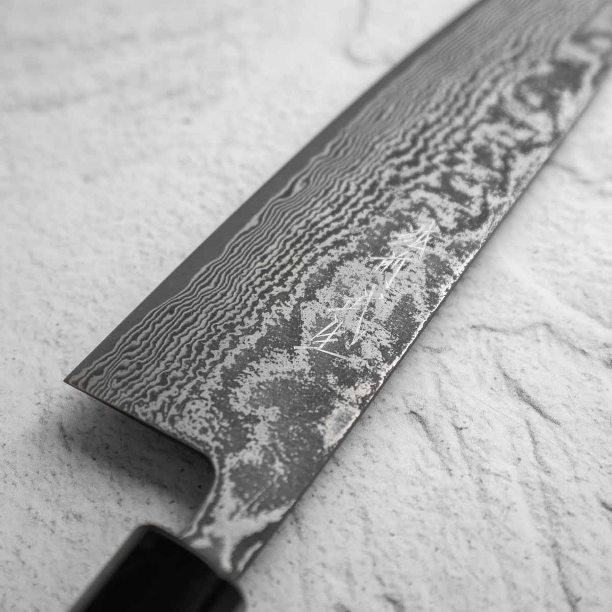 Shiro Kamo SG2 Black Damascus Gyuto 210mm