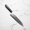 Hatsukokoro Ryuhyo SG2 Damascus Gyuto 210mm -  Dark Maple