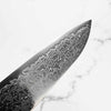 Hatsukokoro Ryuhyo SG2 Damascus Gyuto 240mm - Dark Maple