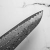 Nigara Hamono "Anmon" SG2 Raindrop Damascus Gyuto 210mm - Dark Maple