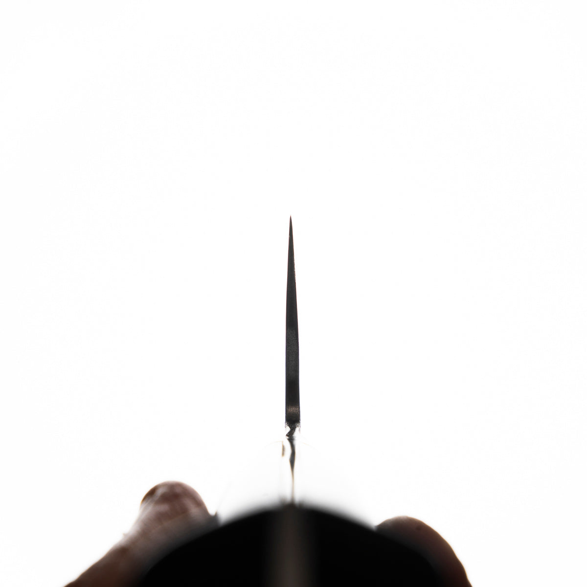 Teruyasu Fujiwara Maboroshi Gyuto 300mm