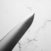 Tsunehisa Migaki Blue Super Gyuto 210mm - Quince