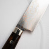 Takeshi Saji Blue 2 Rainbow Damascus Sujihiki 270mm