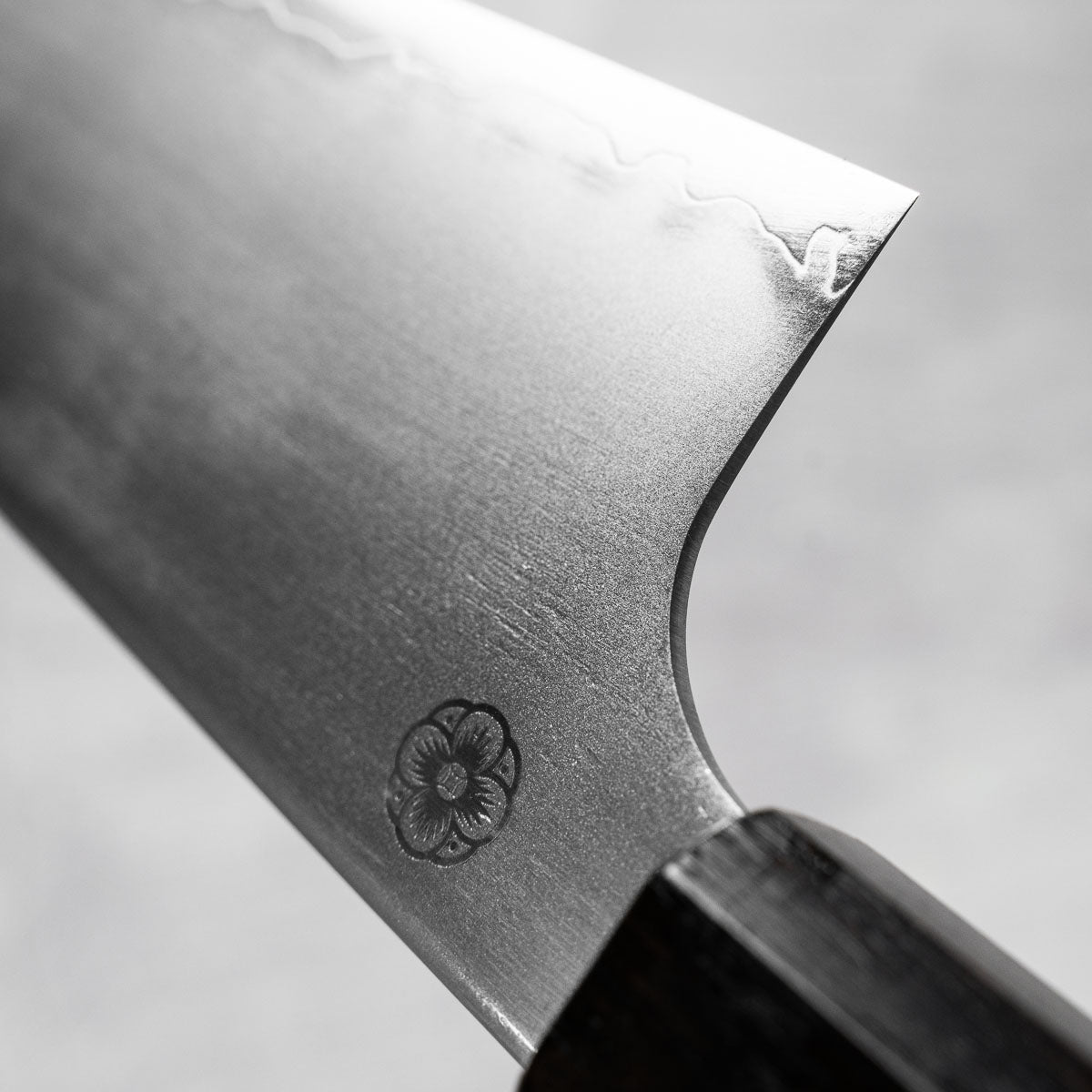 Hajimaru Chromax Gyuto 210mm - Ebony - view 6