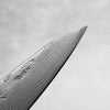 Tsunehisa Swedish Stainless Washiji Petty 135mm