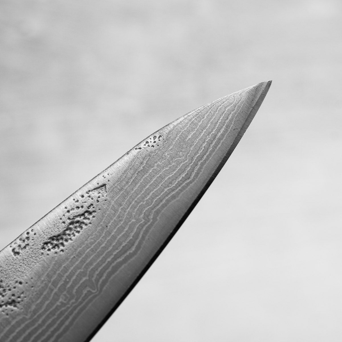 Tsunehisa Swedish Stainless Washiji Petty 135mm