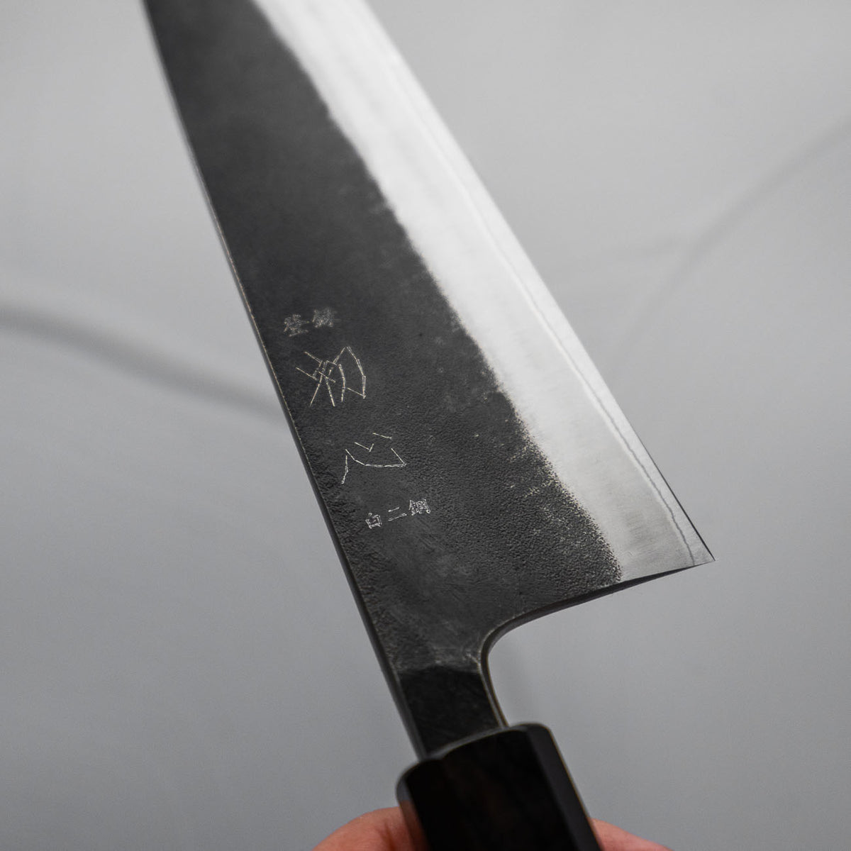 Hatsukokoro Kurokaze White 2 Stainless Clad Gyuto 210mm - Ebony