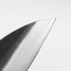 Hatsukokoro Aokitae Blue 2 Kurouchi Gyuto 220mm