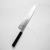 Takeshi Saji R2/SG2 Diamond Damascus Gyuto 240mm - Ebony