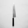 Takeshi Saji R2/SG2 Diamond Damascus Gyuto 240mm - Ebony