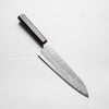 Nigara Hamono Blue Super Tsuchime Gyuto 210mm - Ebony