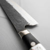 Teruyasu Fujiwara Denka Gyuto 210mm