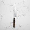Katsushige Anryu Blue Super Gyuto 210mm