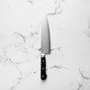 Senzo Professional SG2 Gyuto 210mm