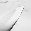 Kataoka VG5 Gyuto 240mm