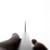Hatsukokoro Kaijin Blue 2 Stainless Clad Kiritsuke Gyuto 210mm - Ebony