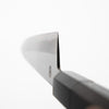 Sakai Kikumori "Kasumi" Gyuto 210mm