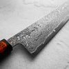 Shigeki Tanaka R2/SG2 Black Damascus Gyuto 240mmm
