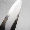 HADO Blue 1 Damascus Gyuto 210mm - Oak