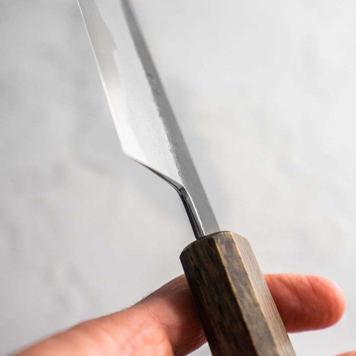 HADO Blue 1 Damascus Gyuto 210mm - Oak